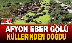 Afyon Eber Gölü Küllerinden Doğdu