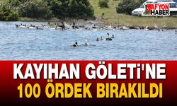 Kayıhan Göleti'ne 100 ördek bırakıldı
