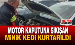 Motor Kaputuna Sıkışan Minik Kedi Kurtarıldı