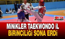Minikler Taekwondo İl Birinciliği Sona Erdi