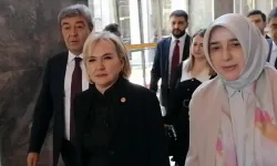 Nimet Özdemir AK Parti'de