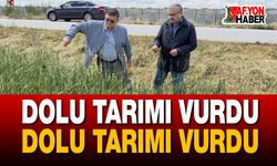 Şiddetli Yağış ve Dolu Tarımı Vurdu