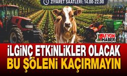 Afyon Sultandağı'nda tarım ve üretim şöleni