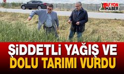 Şiddetli Yağış ve Dolu Tarımı Vurdu