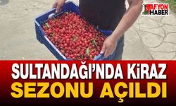 Sultandağı’nda Kiraz Sezonu Açıldı