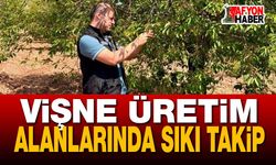 Vişne Üretim Alanlarında Sıkı Takip