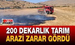 Sandıklı'da Tarım Arazisinde Yangın
