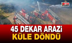 45 Dekar Arazi Küle Döndü