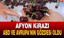 Afyon Kirazı ABD ve Avrupa'nın Gözdesi Oldu