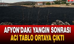 Afyon'daki Yangın Sonrası Acı Tablo Ortaya Çıktı