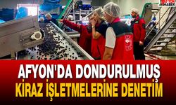 Afyon'da Dondurulmuş Kiraz İşletmelerine Denetim