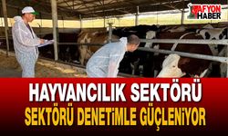 İl Tarım ve Orman Müdürlüğü’nden ithal hayvanlara yakın takip