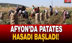 Afyon’da Patates Hasadı Başladı!
