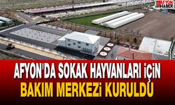 Afyon'da Sokak Hayvanları İçin Bakım Merkezi Kuruldu