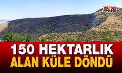 Yangın Söndürüldü: 150 Hektarlık Alan Küle Döndü