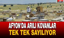 Afyon'da Arılı Kovanlar Tek Tek Sayılıyor