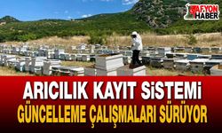 Arılı Kovan Desteği Tespit ve Güncelleme Çalışmaları Sürüyor