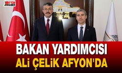 Bakan Yardımcısı Ali Çelik Afyon'da