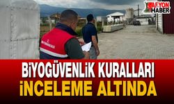 Başmakçı'da Kanatlı İşletmelerinde Biyogüvenlik Denetimi