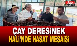 Milletvekili Yurdunuseven Kiraz ve Vişne Alımlarını İnceledi