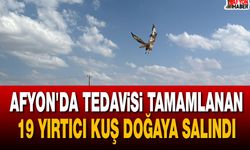 Afyon'da Tedavisi Tamamlanan 19 Yırtıcı Kuş Doğaya Salındı