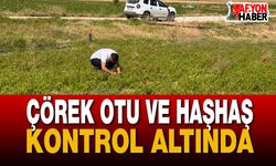 İl Müdürlüğü'nden Tarım Arazilerine Denetim