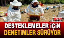 Arılı Kovan Desteğinde Tespit Çalışmaları Devam Ediyor