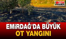 Emirdağ'da Korkutan Ot Yangını: 5 Bin Dekarlık Alan Zarar Gördü