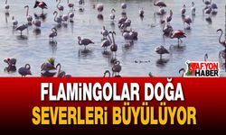 Eber Gölü'nde Yağış Sevinci: Flamingolar Doğa Severleri Büyülüyor