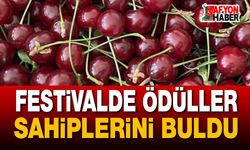 Festivalde ödüller sahiplerini buldu