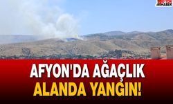Afyonkarahisar'da Ağaçlık Alanda Yangın!
