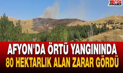 Afyon'da Örtü Yangınında 80 Hektarlık Alan Zarar Gördü