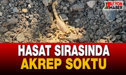 Akrep Sokması Nedeniyle Hastanelik Oldu