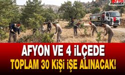 Afyon ve 4 İlçede Toplam 30 Kişi İşe Alınacak!