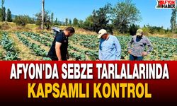 Afyon'da Sebze Tarlalarında Kapsamlı Kontrol