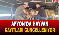 Afyon'da Hayvan Kayıtları Güncelleniyor