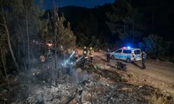 Marmaris'teki orman yangınının çıkış nedeni belli oldu