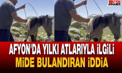 Afyon'da Yılkı Atlarıyla İlgili Mide Bulandıran İddia