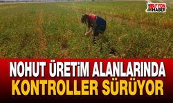 Nohut Üretim Alanlarında Kontroller Sürüyor