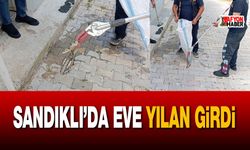 Sandıklı’da Yılan Paniği