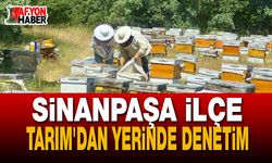 Sinanpaşa’da Arılı Kovan Tespit ve Güncelleme Çalışmaları Başladı
