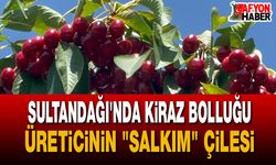 Sultandağı’nda Kiraz Hasadı: Bolluk Var, Kazanç Yok