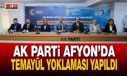 AK Parti Afyon’da Temayül Yoklaması Yapıldı