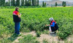 Afyon'da Toprak Kaynakları ve Tarım Arazileri Koruma Altında