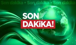 Son Dakika: Fenerbahçe, Yıldız Futbolcuyu Renklerine Kattı