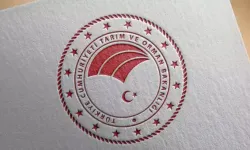 Tarım ve Orman Bakanlığı Personel Alımı Yapıyor!