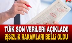 TÜİK açıkladı! Türkiye’de ki işsizlik rakamları belli oldu