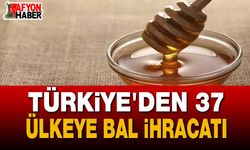 Türk Balına Uluslararası İlgi: İhracatta ABD ve Avrupa Zirvede
