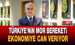 Lavanta İhracatından 5 Yılda 765 Bin Dolar Döviz