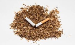 Tütün Kullanımı Her Yıl 7 Milyon Can Alıyor